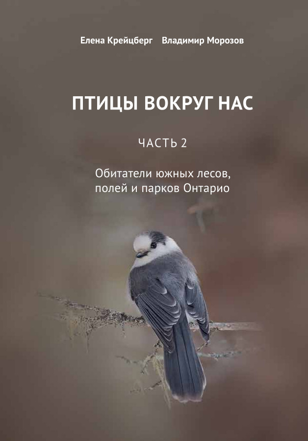 cover - russian book about birds