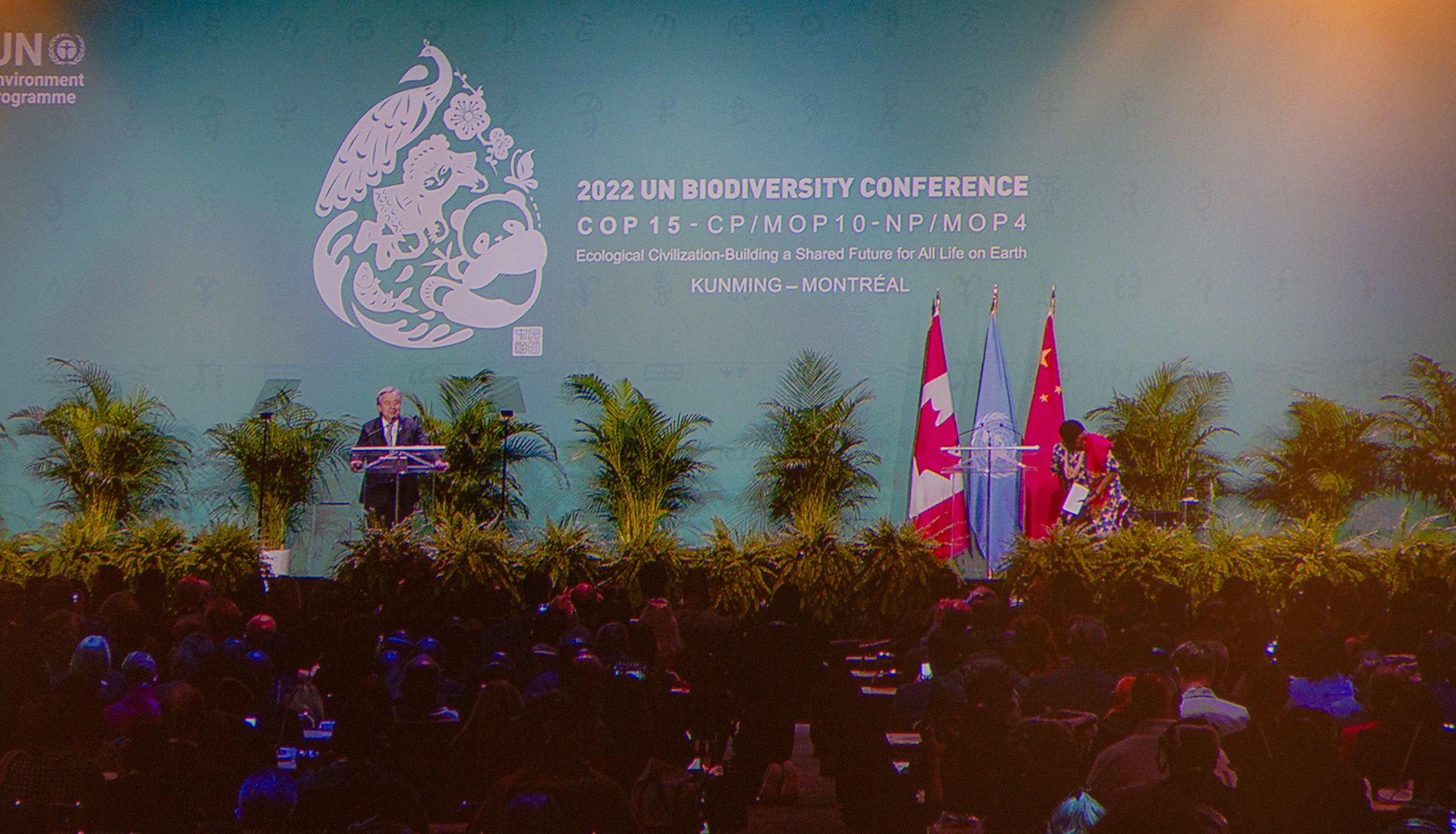 Opening of COP-15 in Montreal