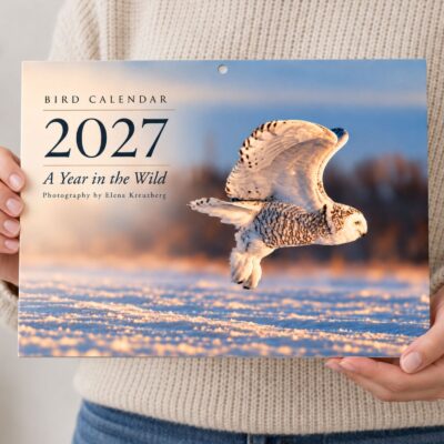 Bird Calendar 2027 — A Year in the Wild - Image 2
