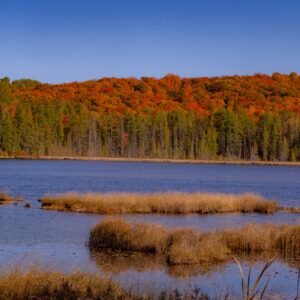 September 27 - Eagle Nest Nature Walk