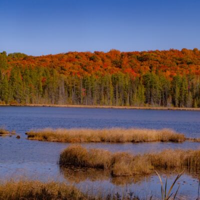 October 11 - Eagle Nest Nature Walk