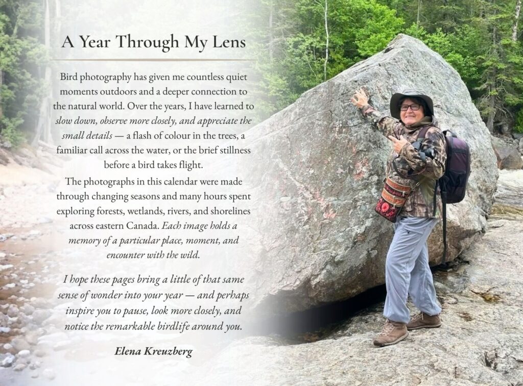 Bird Calendar 2027 — A Year in the Wild