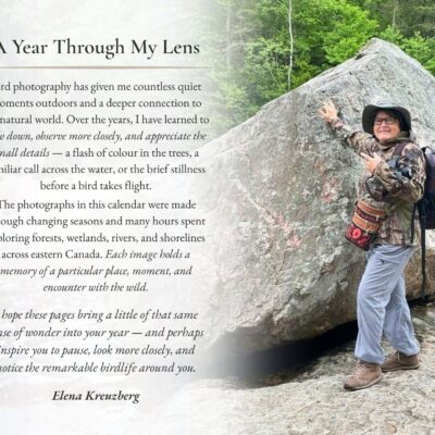 Bird Calendar 2027 — A Year in the Wild - Image 3