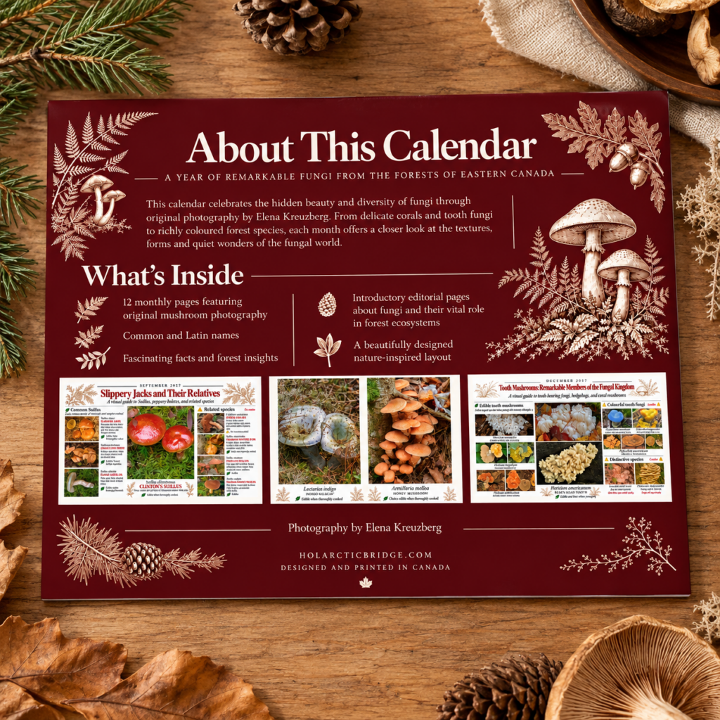 Back cover of the Mushroom Calendar 2027 with mushroom guide previews and product information