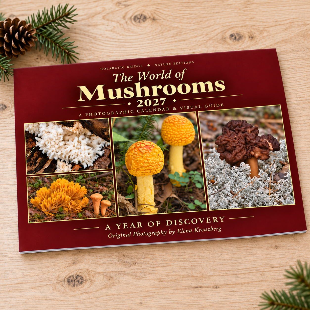 Mushroom Calendar 2027 featuring original nature photography by Elena Kreuzberg